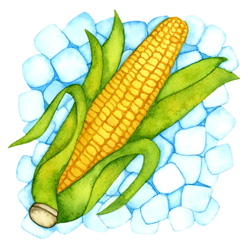corn clip art