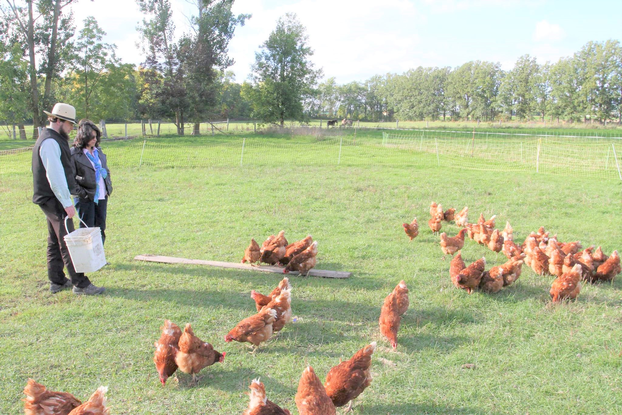 sam and jacqui with the chickens