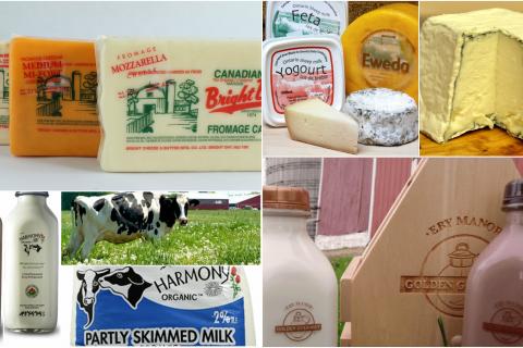 Dairy Collage