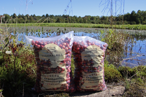 bag of cranberries