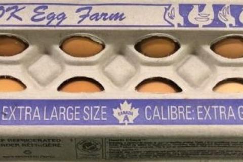 extra large flax fed eggs