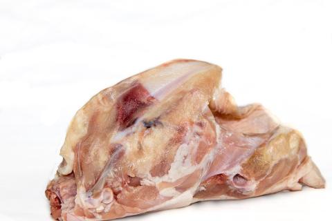 carcass