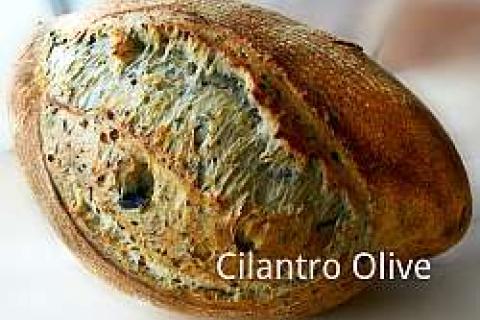 cilantro olive