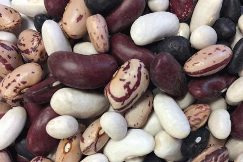 ferguson bros beans