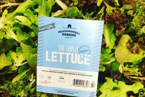 lettuce greens