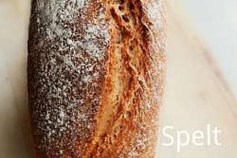 spelt